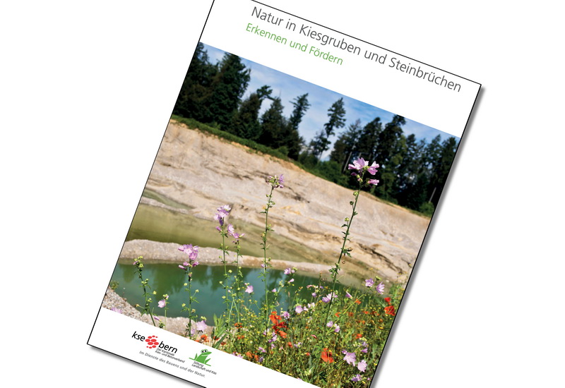 Natur in Kiesgruben und Steinbrüchen: Neuauflage