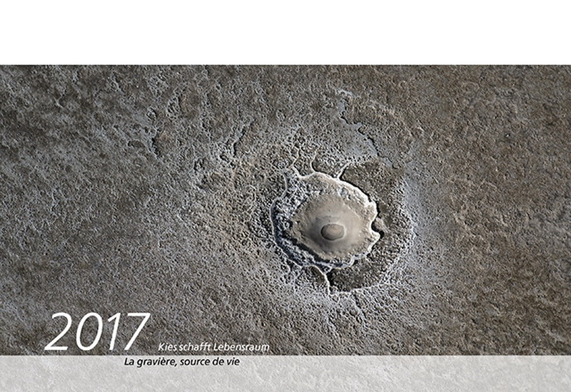 Wandkalender 2017